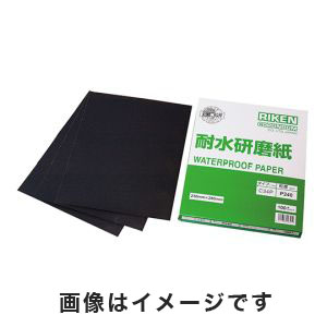理研コランダム 理研コランダム C34P2000 耐水研磨紙 2000 100枚入