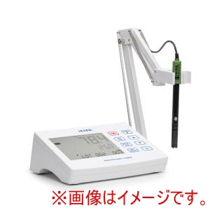 ハンナ ハンナ HI2641-01 卓上型DO計 Core Model