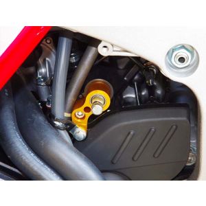 ベビーフェイス BabyFace ベビーフェイス 002-H009S シフトスピンドルホルダー/ゴールド CBR600RR 07-16