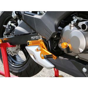 ベビーフェイス BabyFace ベビーフェイス 002-K029GD バックステップキット ゴールド Z125 Pro 16-