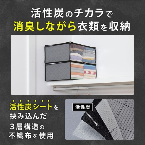  アストロ アストロ 引き手が便利 活性炭衣類整理袋 2枚組 171-90