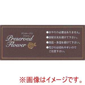 松村工芸 松村工芸 インストラクションシール IS-2 50枚 102-2102-0